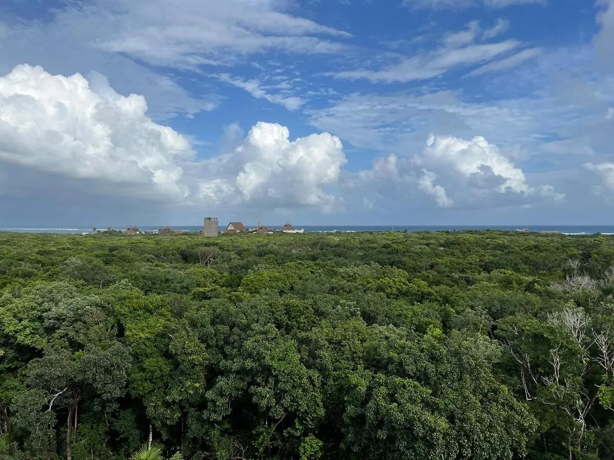 Tulum Hotel Zone Apartment With Private Pool - Prime Location