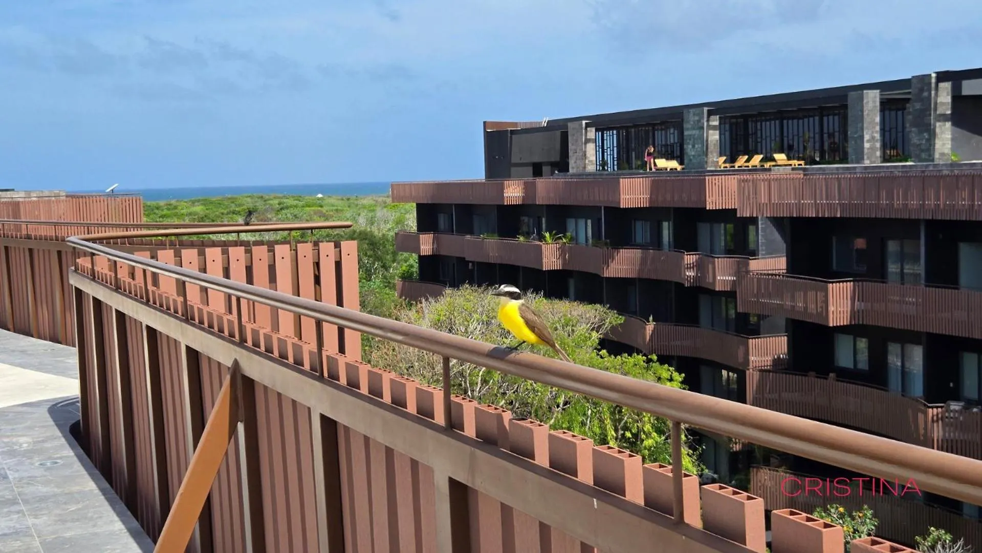 Private Pool Apartment In Tulum Hotel Zone - Beach Club